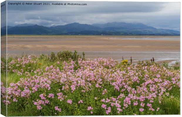 Haverigg and the Duddon Estuary in South Cumbria Canvas Print by Peter Stuart