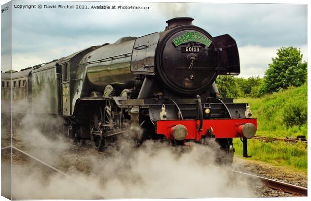 Steam locomotive 60103 Flying Scotsman. Canvas Print by David Birchall