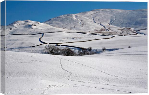 Winter in Cumbria. Canvas Print by David Birchall