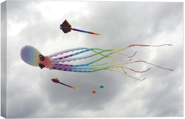 Novelty octopus kite. Canvas Print by David Birchall