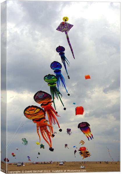 Lytham St. Annes kite festival. Canvas Print by David Birchall