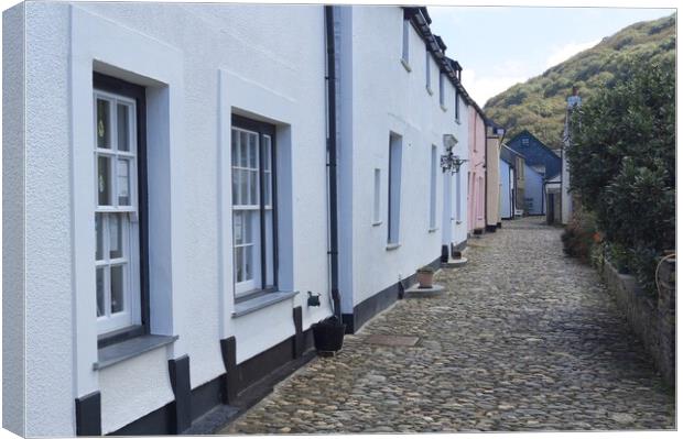 Cottages and cobbles at Boscastle. Canvas Print by David Birchall