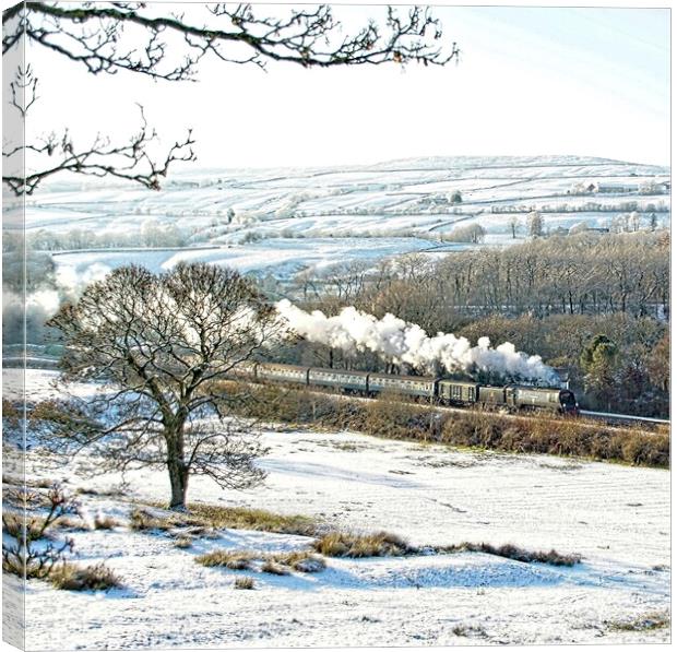 Steam train in a snowy landscape. Canvas Print by David Birchall