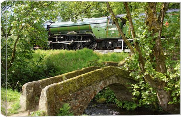 Flying Scotsman through the trees. Canvas Print by David Birchall