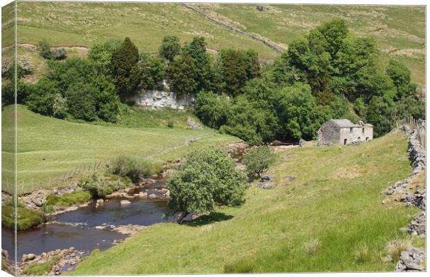 Derelict farmhouse by River Swale. Canvas Print by David Birchall