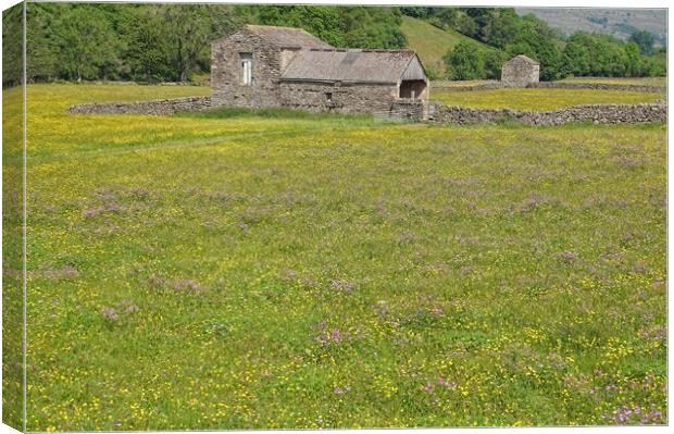 Barn and wildflower meadow in the Dales. Canvas Print by David Birchall