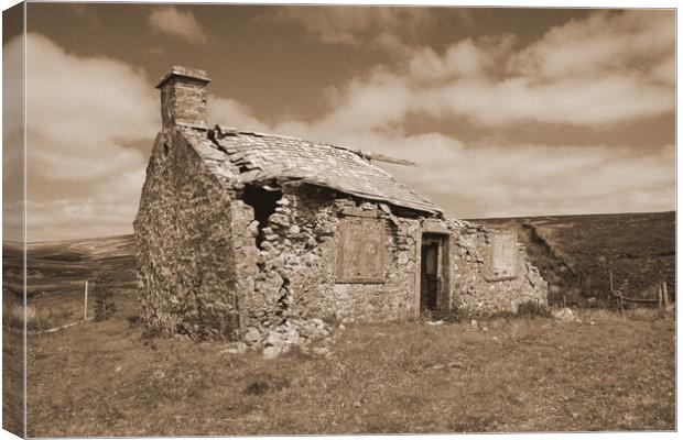 Derelict Yorkshire Dales farmhouse.  Canvas Print by David Birchall