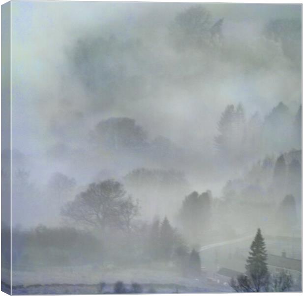 Ethereal Inversion. Canvas Print by David Birchall