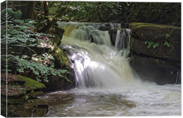 Waterfall at Healey Dell, Lancashire. Canvas Print by David Birchall