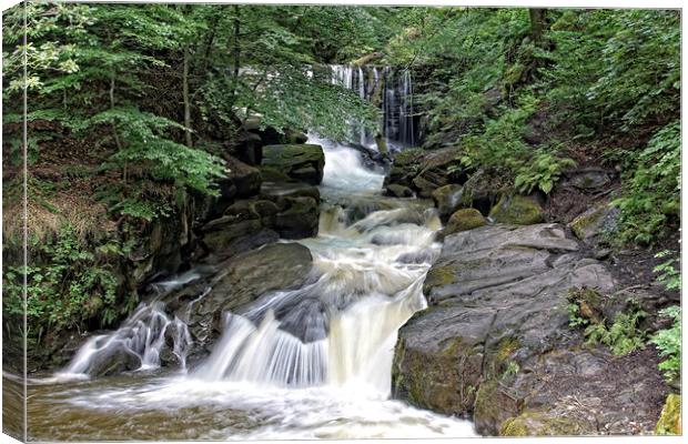 Waterfall at Healey Dell. Canvas Print by David Birchall