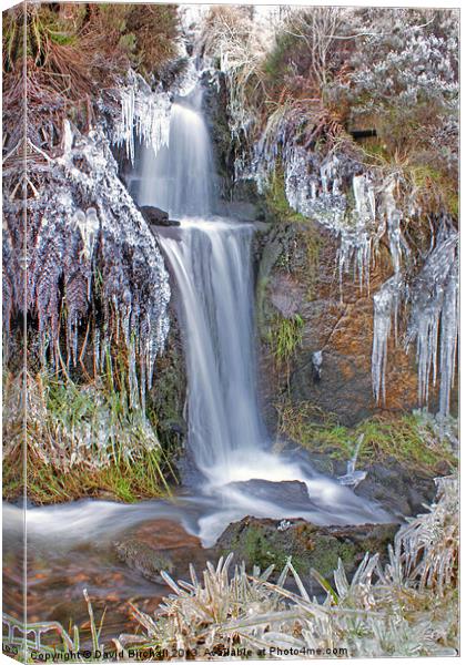 Winter Waterfall in Derbyshire Canvas Print by David Birchall