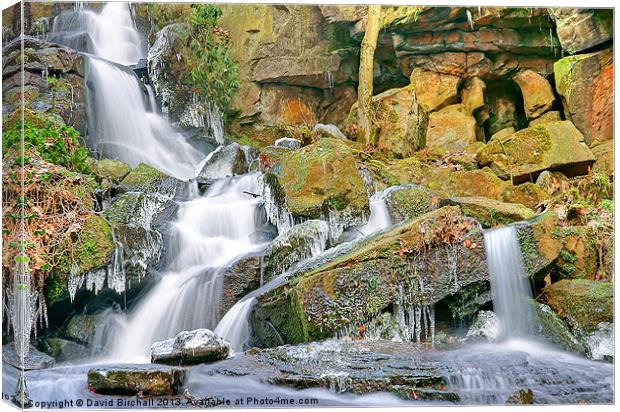 Winter Waterfall in Derbyshire Canvas Print by David Birchall