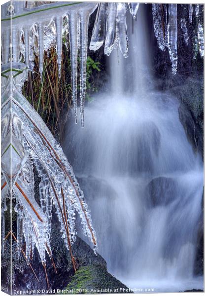 Waterfall and Ice Canvas Print by David Birchall