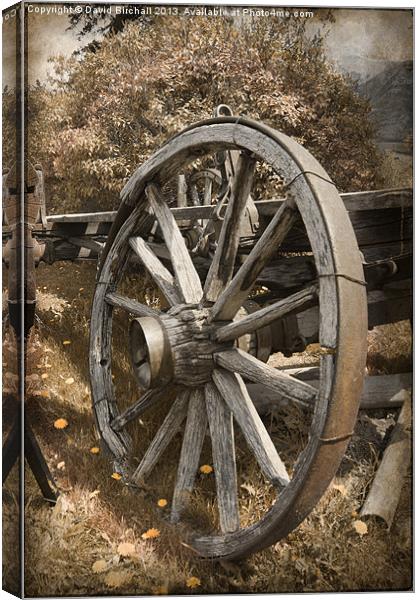 Wagon Wheel Canvas Print by David Birchall