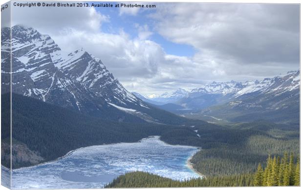 Peyto Lake Canada Canvas Print by David Birchall