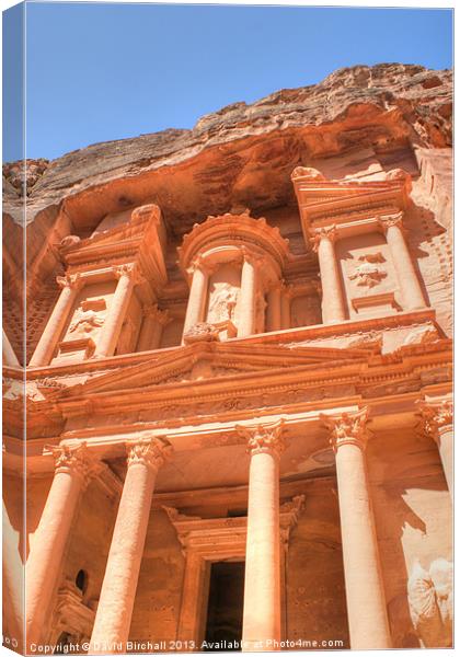 The Treasury at Petra Canvas Print by David Birchall