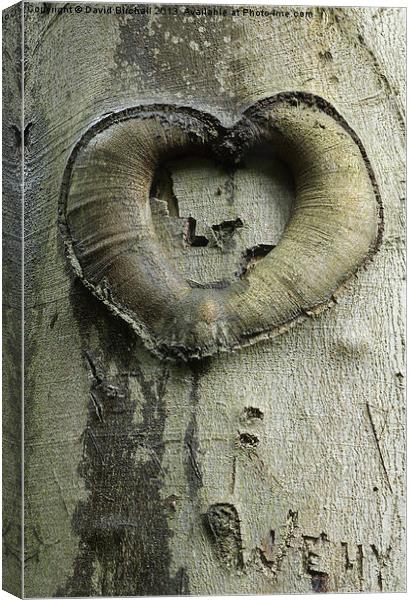 Heart Of The Forest Canvas Print by David Birchall