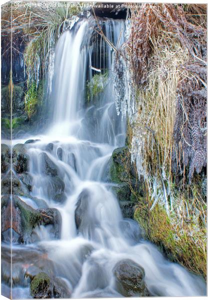 Ethereal Flow Canvas Print by David Birchall