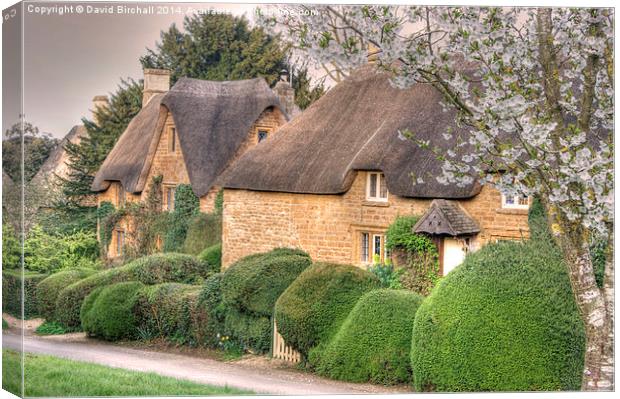 Oxfordshire Thatch at Great Tew Canvas Print by David Birchall