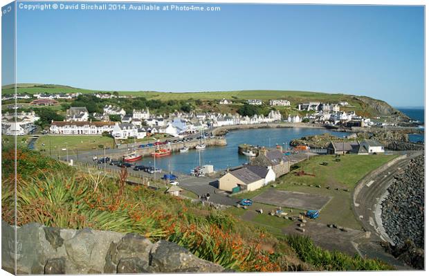  Portpatrick Harbour Canvas Print by David Birchall