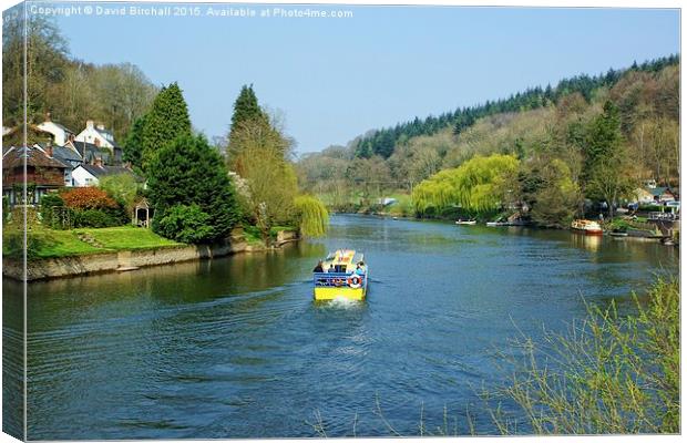  Symonds Yat Riverside Canvas Print by David Birchall