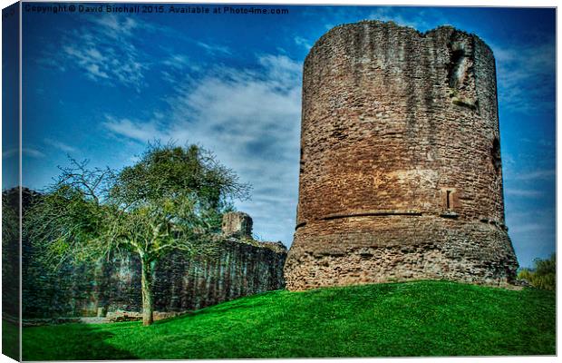 Skenfrith Castle Great Tower  Canvas Print by David Birchall