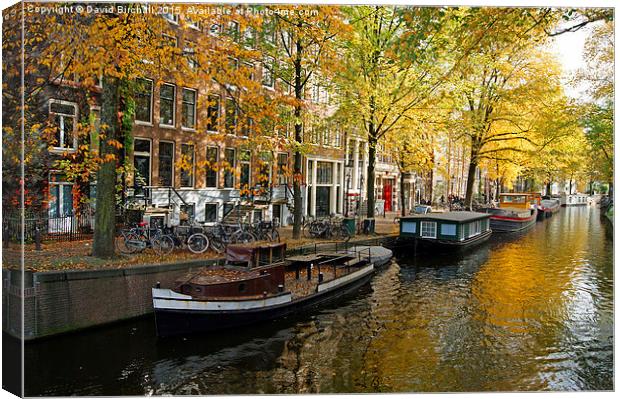 Autumn In Amsterdam  Canvas Print by David Birchall