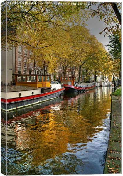  Amsterdam Waterway In Autumn Canvas Print by David Birchall