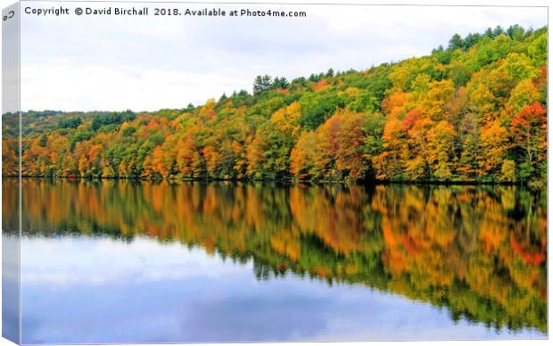 Autumn Reflections in New England, America. Canvas Print by David Birchall