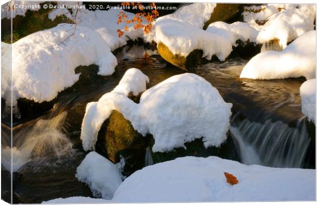 Winter Stream Landscape Canvas Print by David Birchall