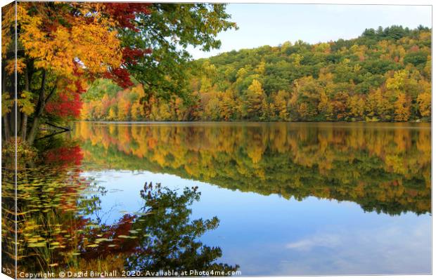 Connecticut River in Autumn Canvas Print by David Birchall