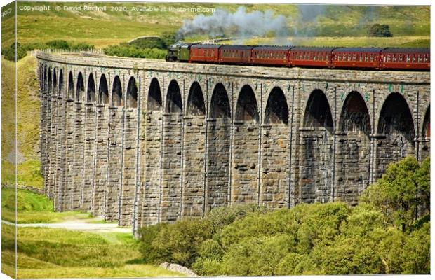 Steam train on Ribblehead viaduct. Canvas Print by David Birchall