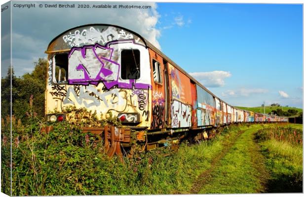Derelict railway carriages covered in graffiti. Canvas Print by David Birchall