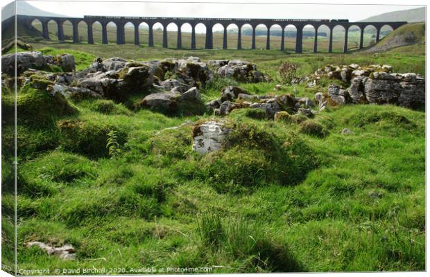 Ribblehead Viaduct in North Yorkshire. Canvas Print by David Birchall