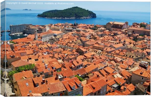 The rooftops of Dubrovnik Canvas Print by David Birchall