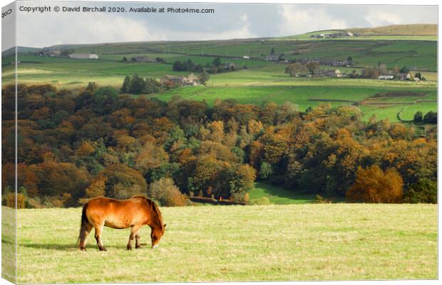 Hardcastle Crags from Heptonstall. Canvas Print by David Birchall