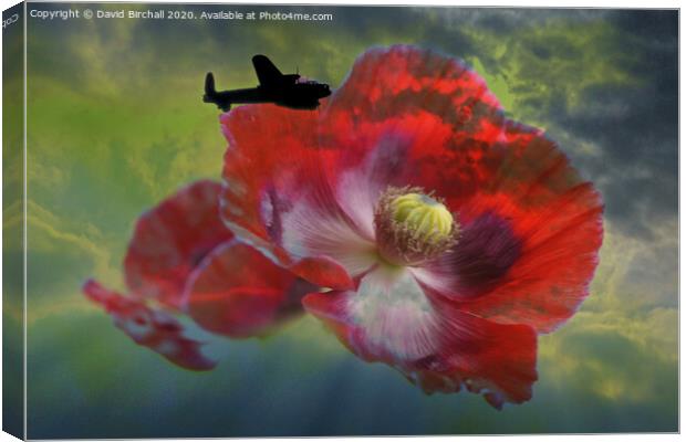 Lancaster Bomber and Poppies. Canvas Print by David Birchall