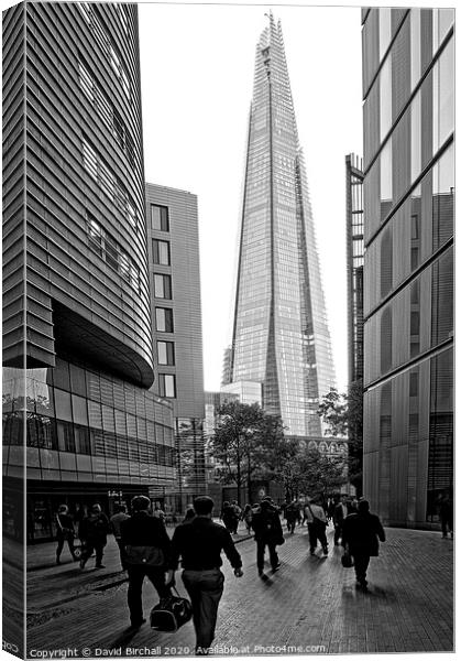 The daily procession to The Shard. Canvas Print by David Birchall