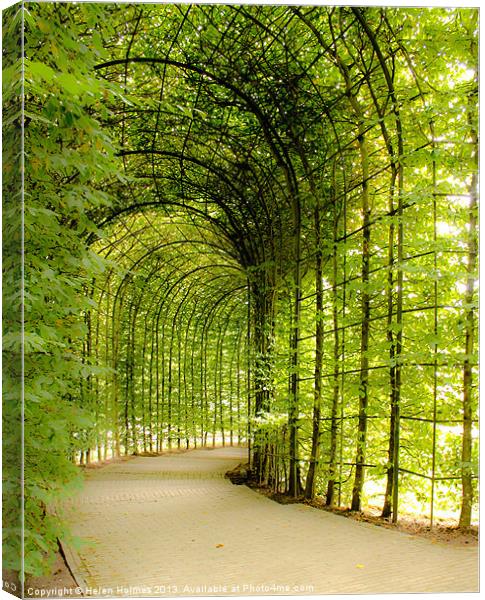 Alnwick Gardens Tunnel, Secluded Walkway Canvas Print by Helen Holmes