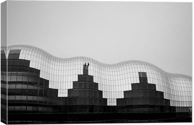 The Sage in Black and White Canvas Print by Helen Holmes