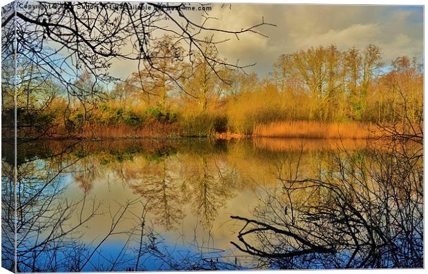 Reflections HDR Canvas Print by Alan Sutton