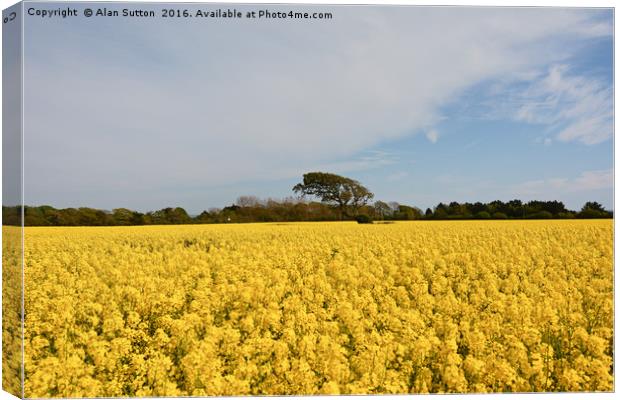 Fields of gold Canvas Print by Alan Sutton