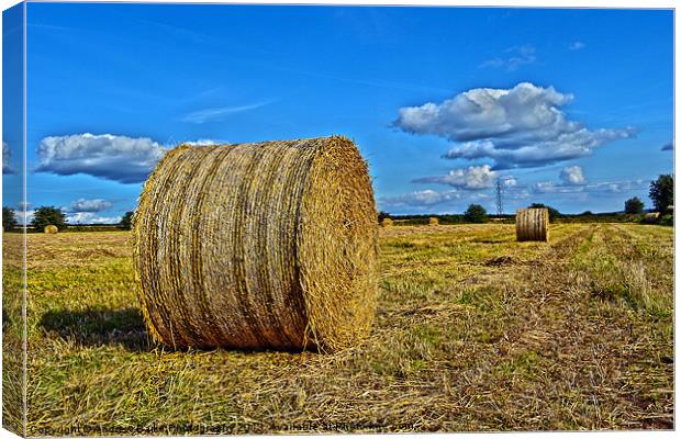 Round Straw Bales Canvas Print by A B