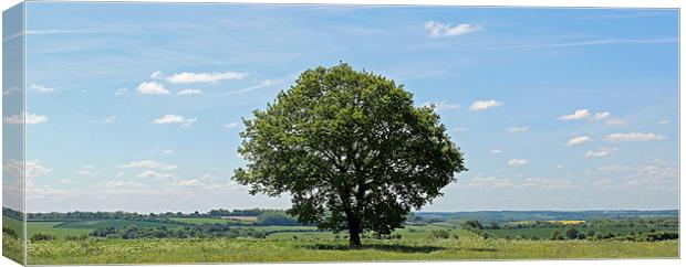 Lone Tree Canvas Print by Dean Powell-Perry