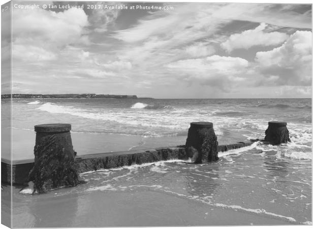 Exmouth over the sea defences at Dawlish Warren Canvas Print by Ian Lockwood