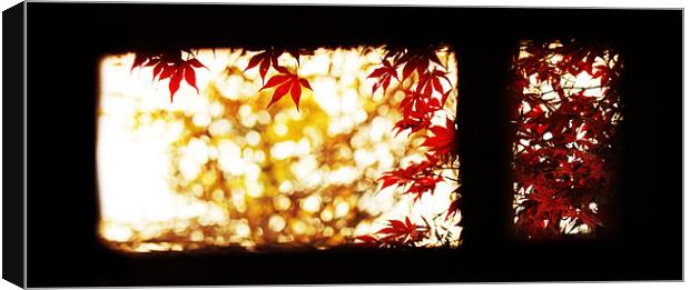 Red tree seen through the window Canvas Print by magda barcentewicz
