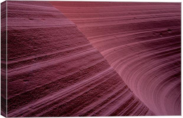 Sandstone Lines Canvas Print by Edgars Erglis