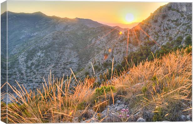 Sunset on the hills of Costa del Sol Canvas Print by Levente Baroczi