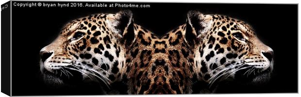  Jaguar Profiles Canvas Print by bryan hynd