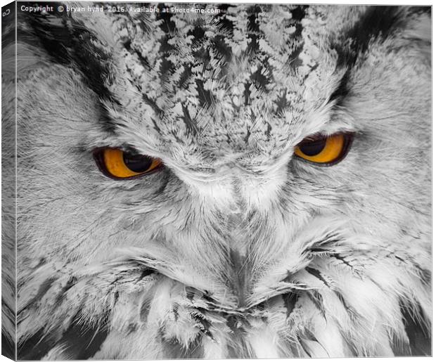  Owl Eyes 2 Canvas Print by bryan hynd
